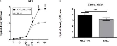 Nitric Oxide-Releasing Nanoparticles Are Similar to Efinaconazole in Their Capacity to Eradicate Trichophyton rubrum Biofilms